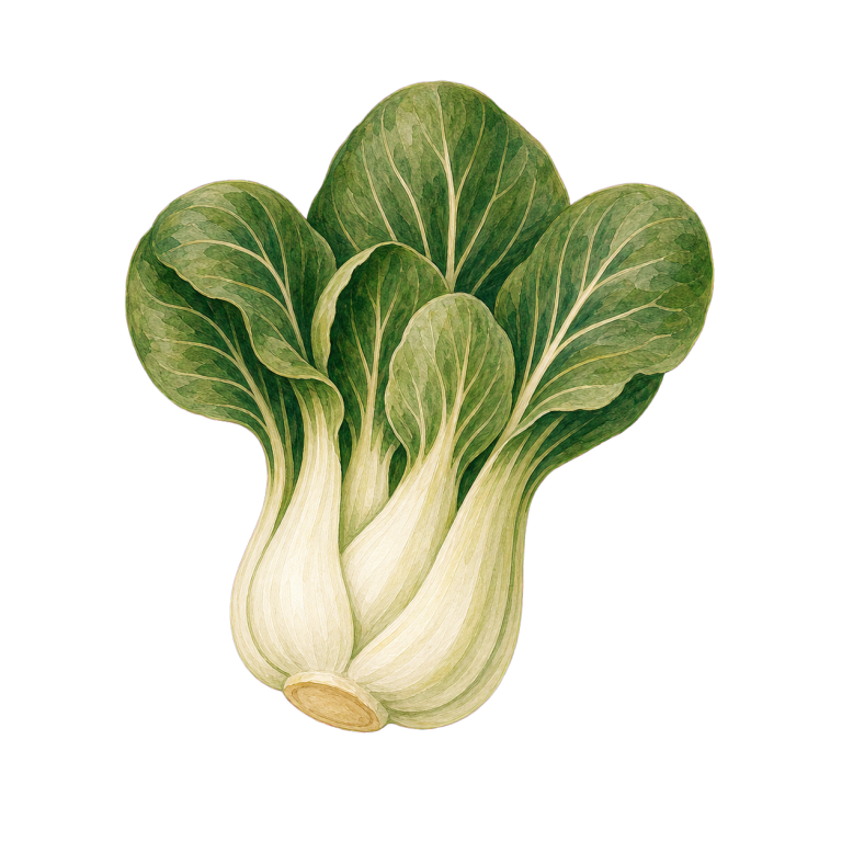Pak Choi