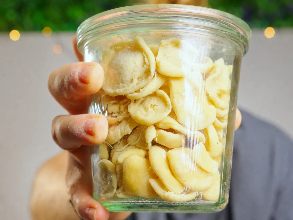 Handgemachte Orecchiette – frisch geformte Öhrchennudeln aus Hartweizengrieß in einem Glas, Nahaufnahme