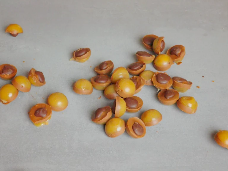 Selbstgemachte Toffifee – Karamell, Haselnuss, Nougat und Schokolade